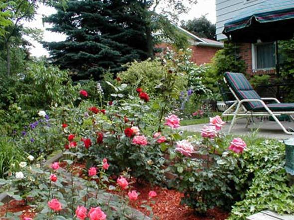 Bed and Breakfast Dorchester House Niagara Falls Exteriér fotografie